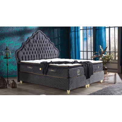 Lale Solit Baza Ve Başlık