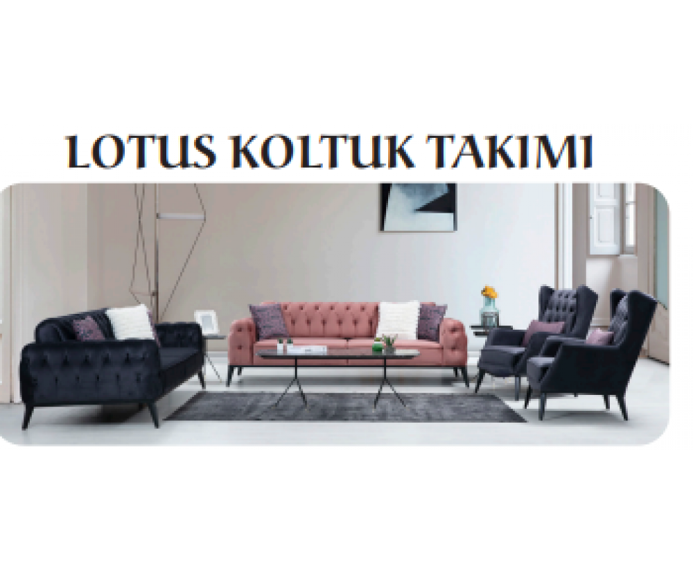 Lotus Koltuk Takımı, Galerin Mobilya İnegöl